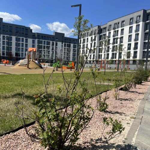 city_park_1