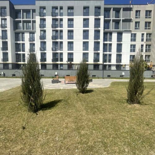 city_park_12