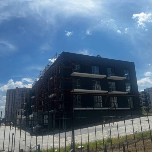 City_park_08.06.2024_1