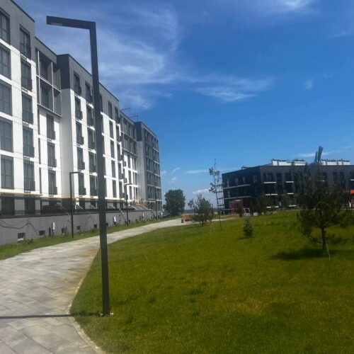 City_park_08.06.2024_13