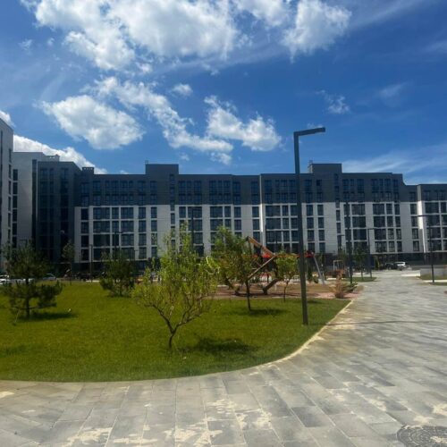 City_park_08.06.2024_7