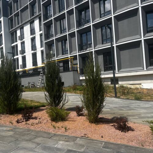 city_park_13