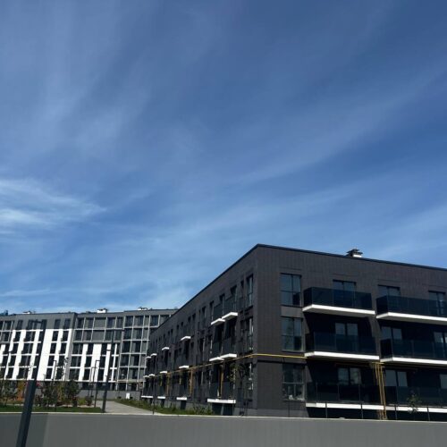 city_park_16