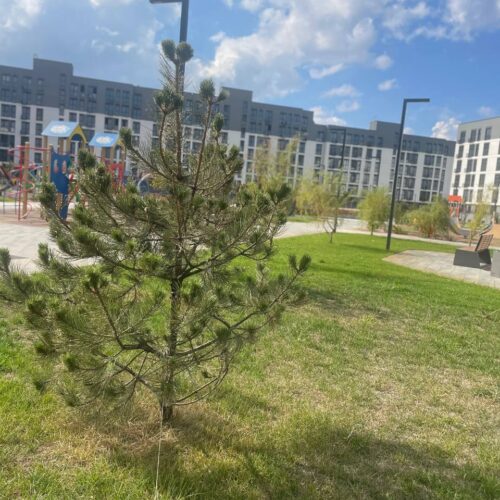 city_park_09_12